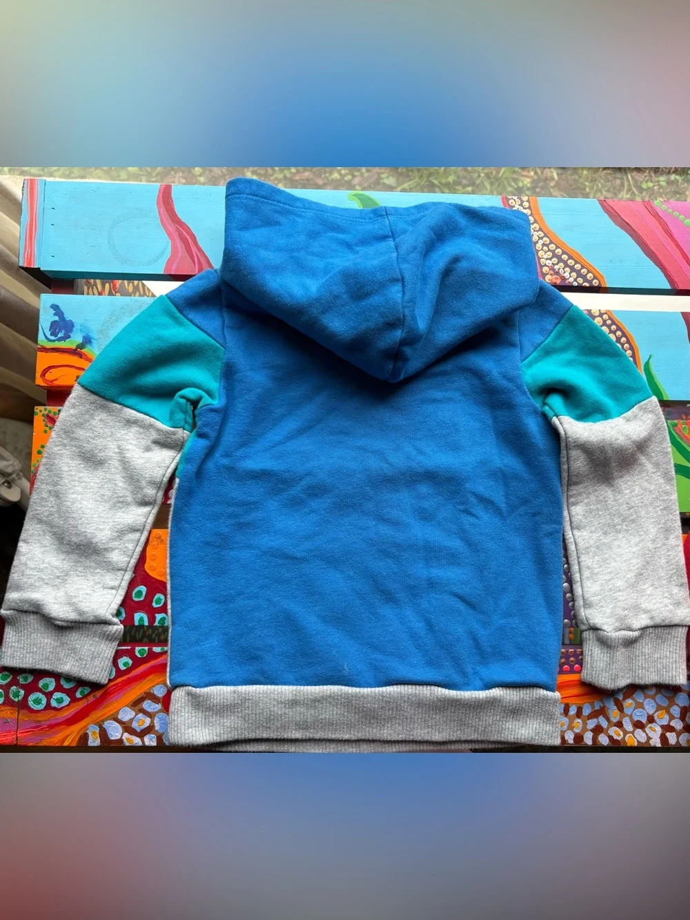 The Children’s Place Kids 3 Piece Crew Sweatshirt and Hoodie Bundle Size 4T
